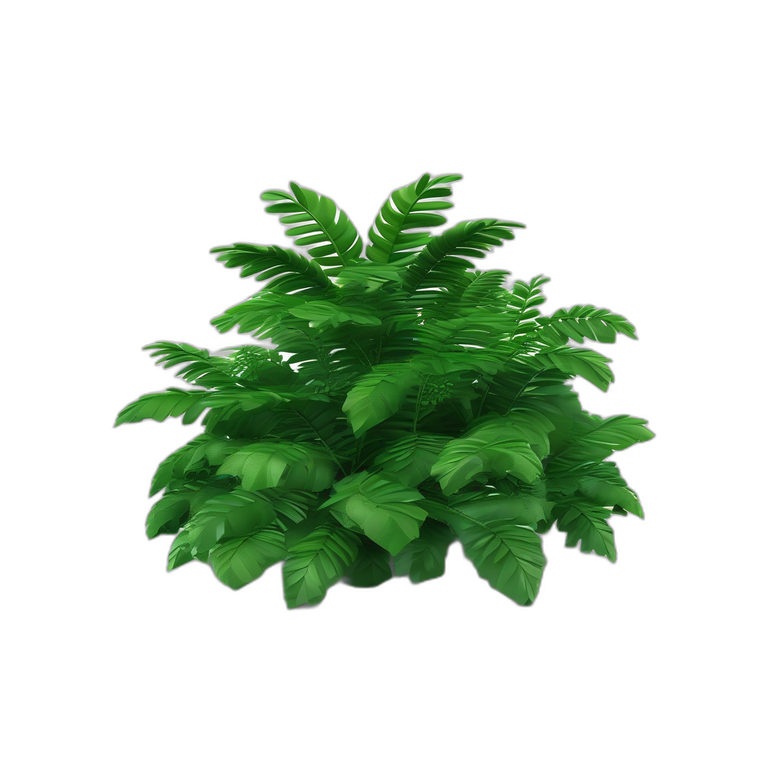 Jungle Broadleaf Bush